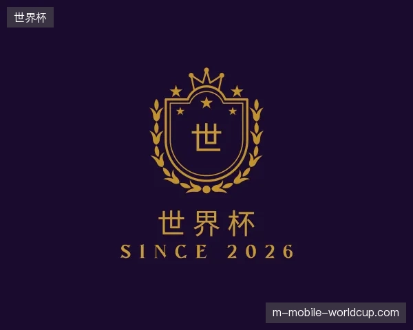 走近世界杯官方